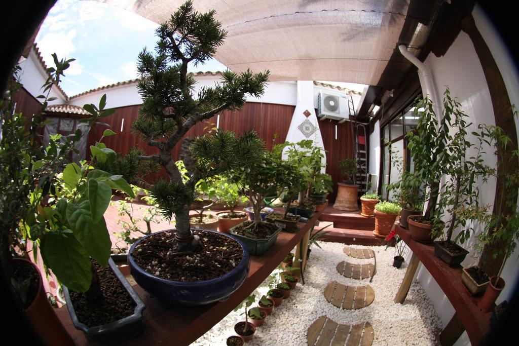 Arte Y Descanso Casa de Campo