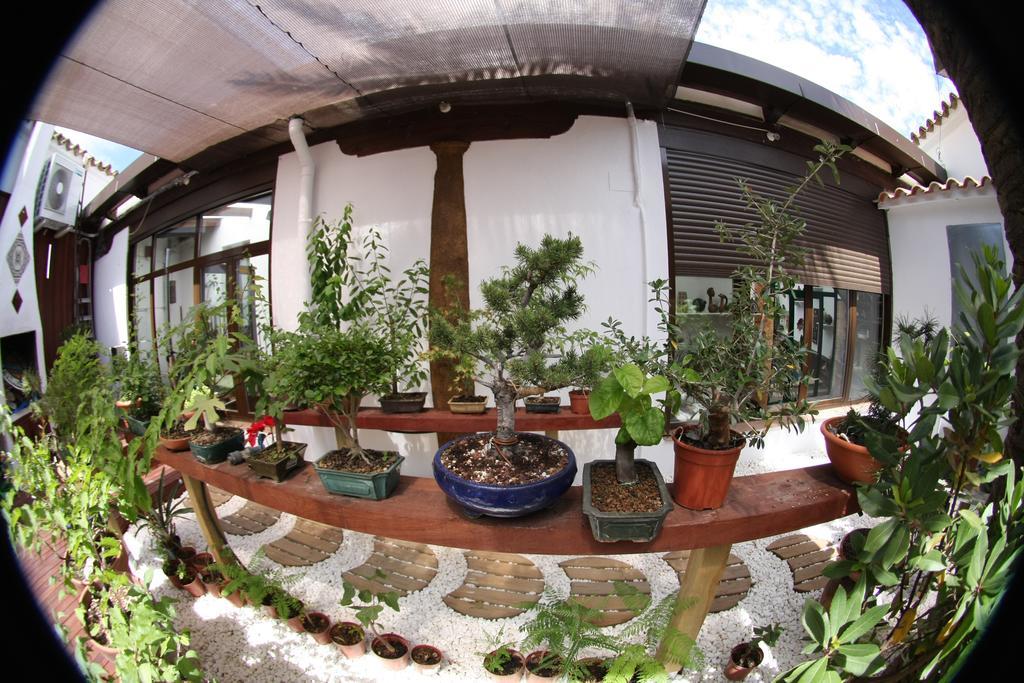 Arte Y Descanso Casa de Campo